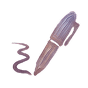 AVV signiert beantragen