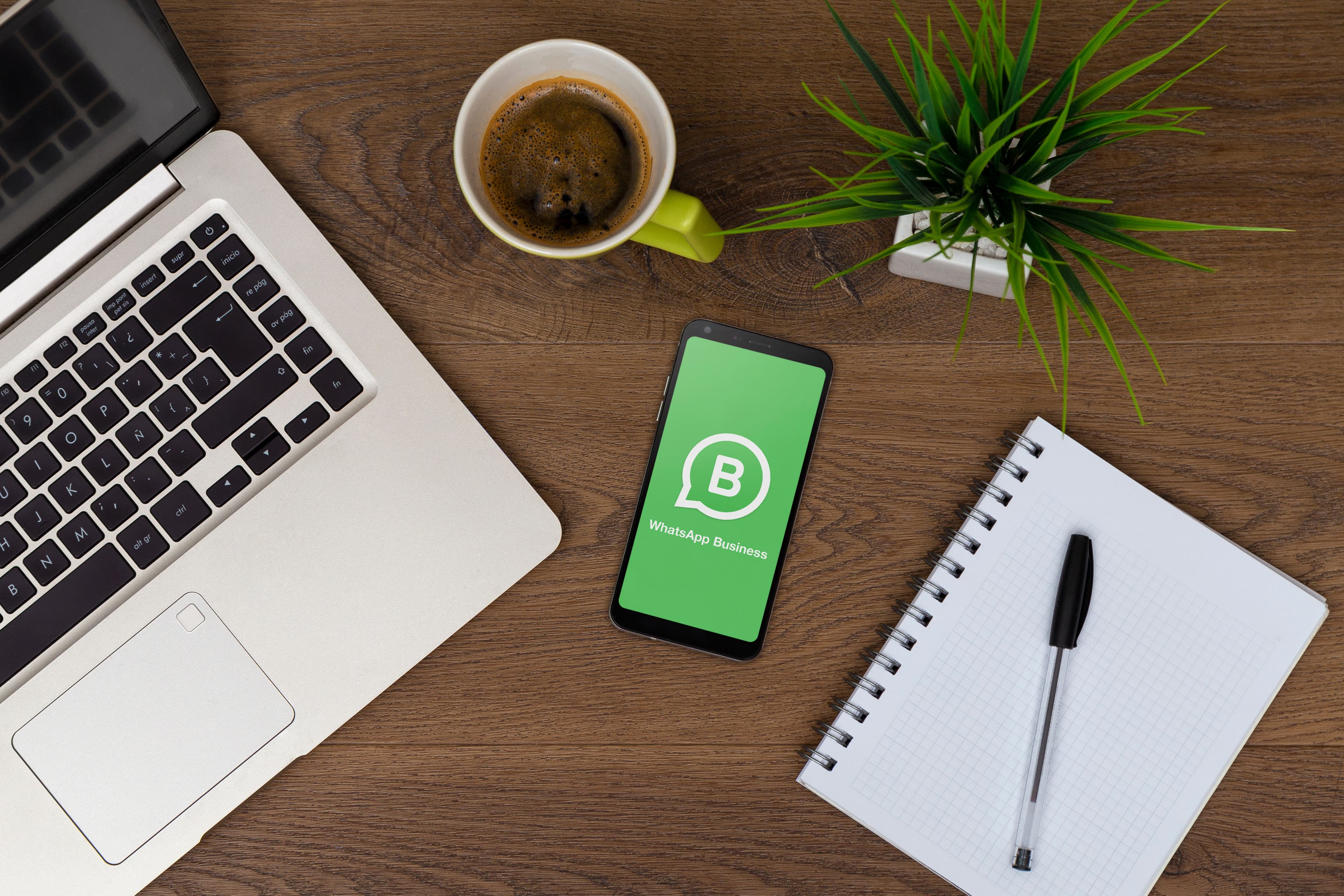 WhatsApp Business Anbieter Vergleich