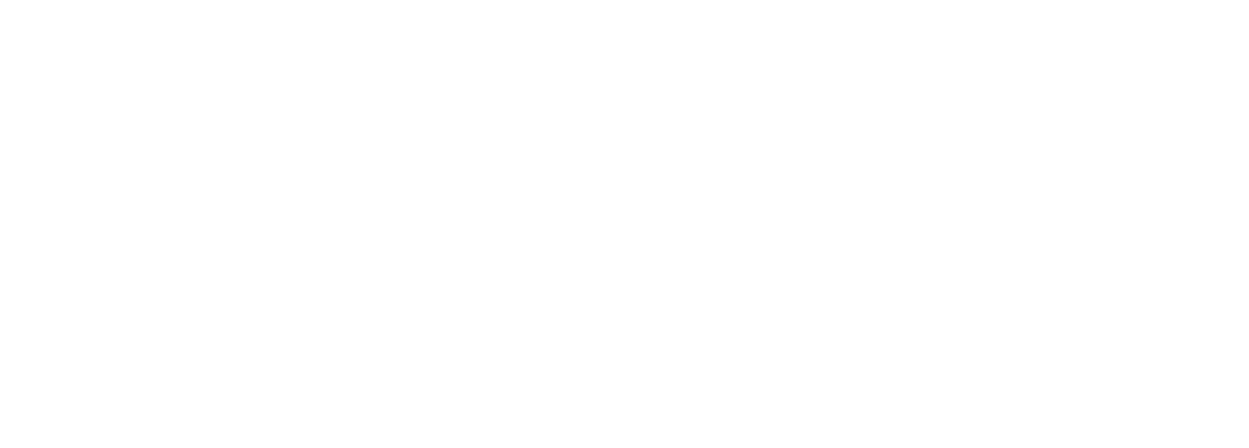 Berlin Finanz Logo